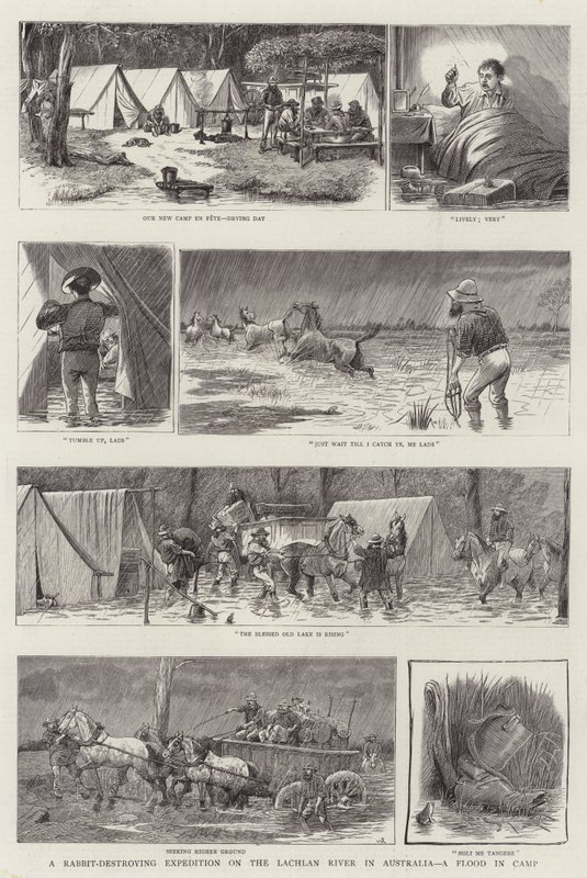 Uma expedição destruidora de coelhos no rio Lachlan, na Austrália, um dilúvio no acampamento de William Ralston