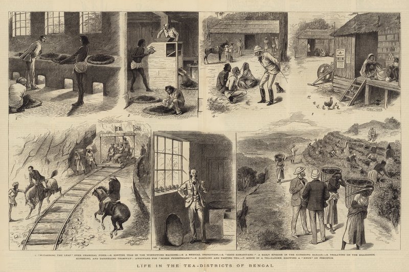 Vida nos Tea-distritos de Bengala de William Ralston