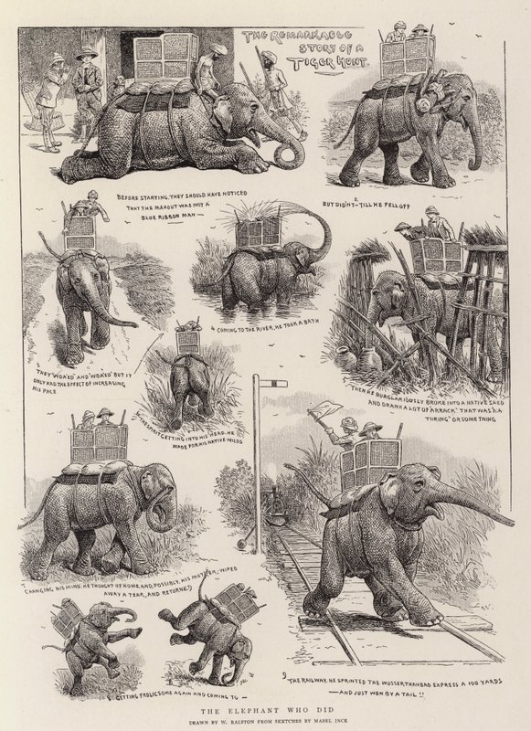 O elefante que fez de William Ralston