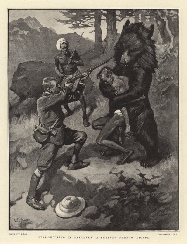 Tiroteio de Urso em Cashmere, a Escape Narrow de um Batedor de William T. Maud