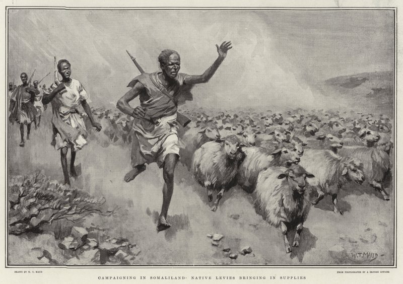 Campanhas em Levy Native Levies trazendo suprimentos de William T. Maud