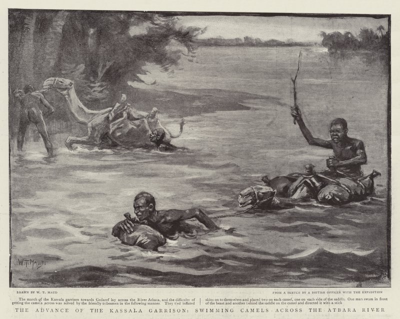 O avanço da guarnição de Kassala, nadando em camelos pelo rio Atbara de William T. Maud