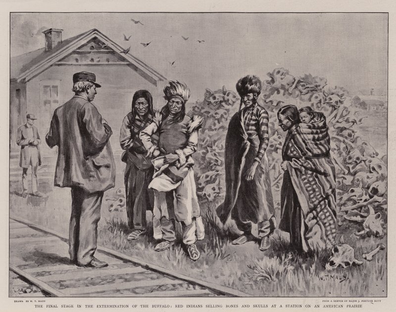 A etapa final no extermínio do búfalo, os índios vermelhos que vendem ossos e crânios em uma estação em um par americano de William T. Maud