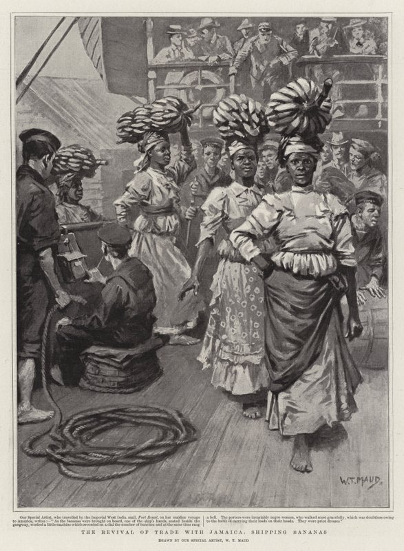 O renascimento do comércio com a Jamaica, as bananas de navegação de William T. Maud