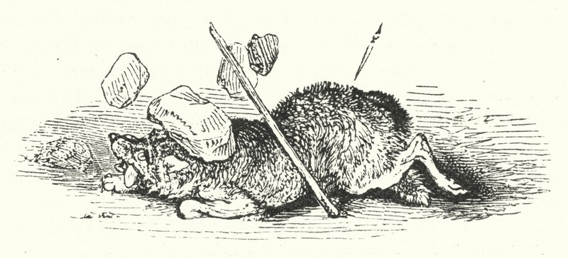 Morte do lobo (gravura) de William (after) Harvey