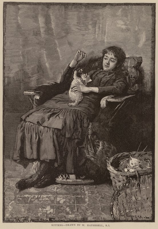 Gatinhos (gravura) de William (after) Hatherell