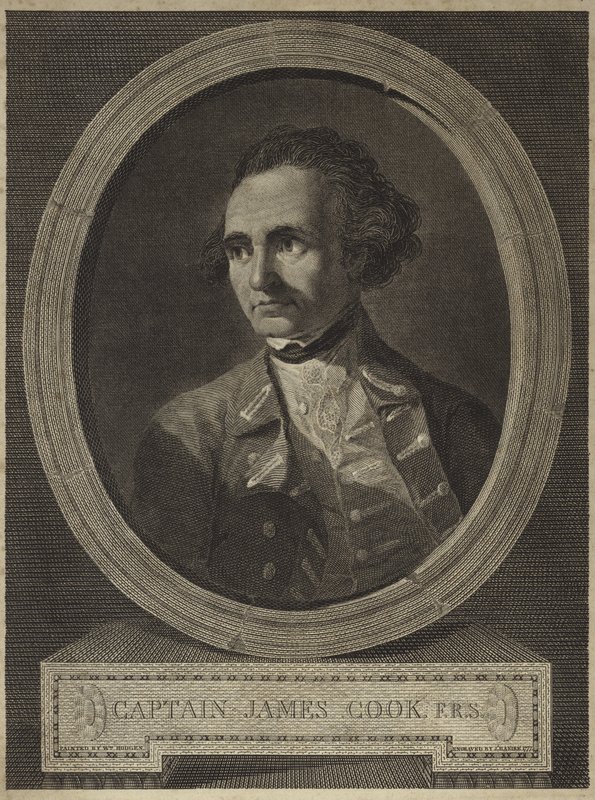 Retrato do Capitão James Cook (gravura) de William (after) Hodges