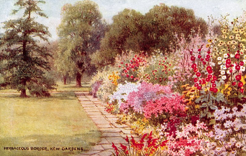 Fronteira herbácea, Kew Gardens de William Affleck Carruthers