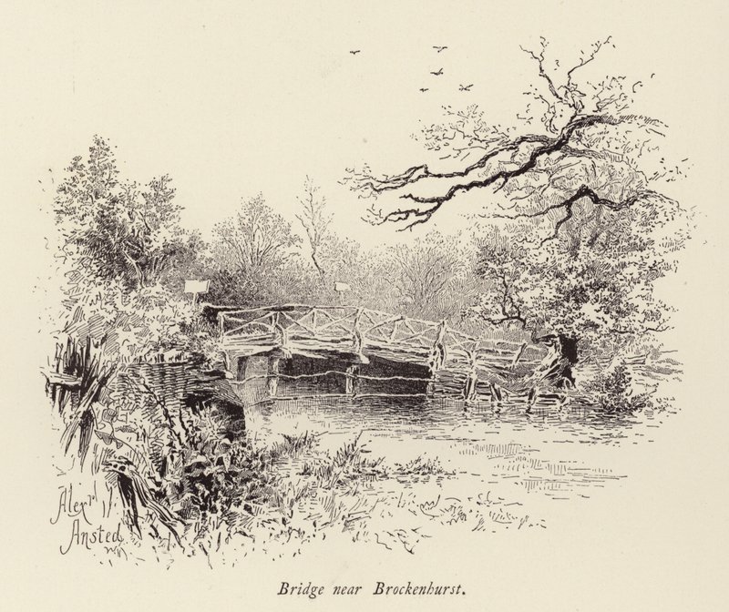 Ponte perto de Brockenhurst (gravura) de William Alexander Ansted