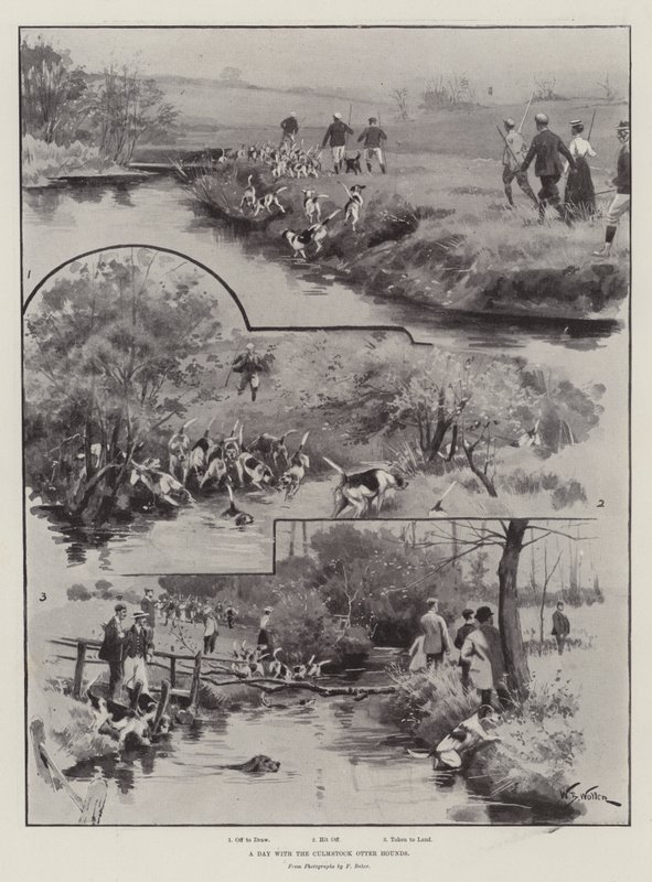 Um dia com os cães da raça Otter de William Barnes Wollen