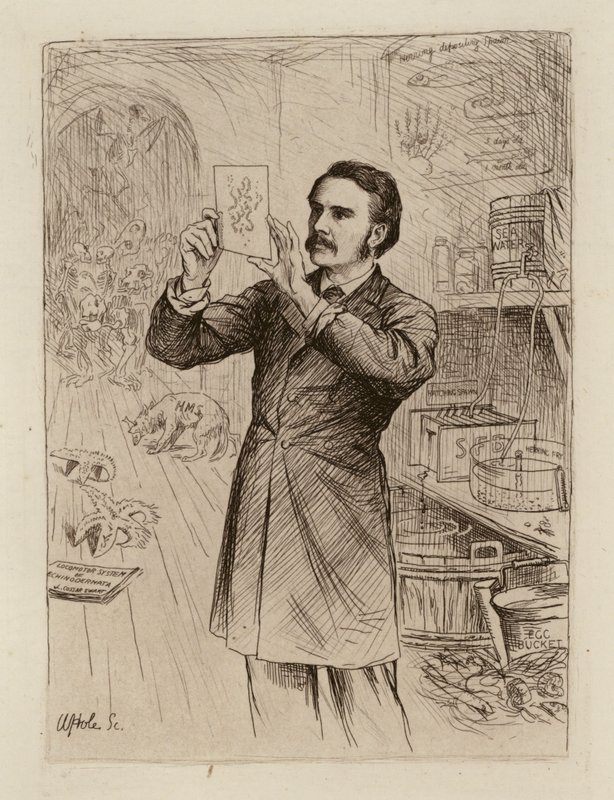 James Cossar Ewart, Professor de História Natural (gravura) de William Brassey (after) Hole