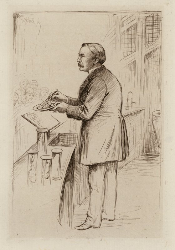 William Smith Greenfield, Professor de Patologia Geral (gravura) de William Brassey (after) Hole