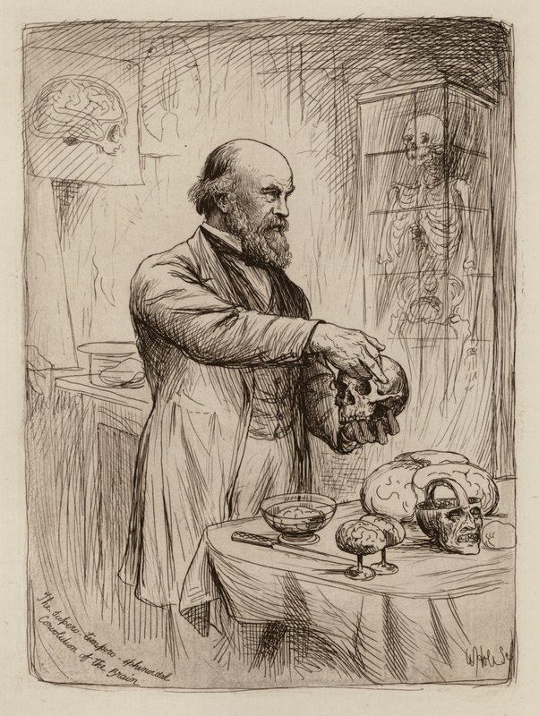 William Turner, Professor de Anatomia (gravura) de William Brassey (after) Hole