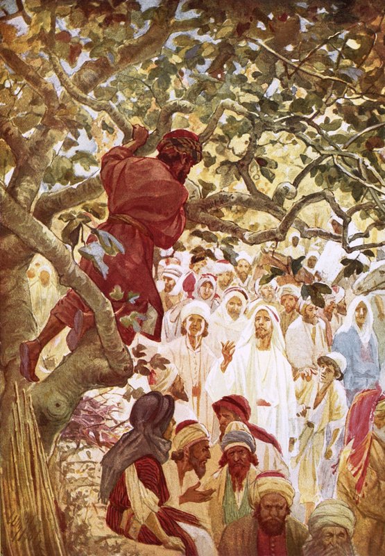 Jesus convocando Zaqueu, o publicano, para entretê-lo em sua casa de William Brassey Hole