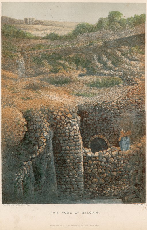 A piscina de Siloé de William Dickes