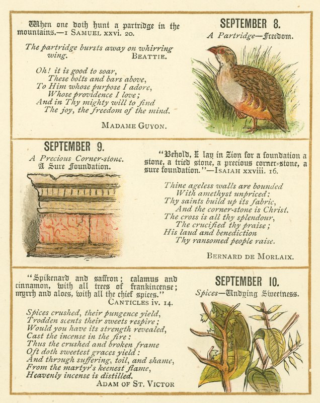 Página do Livro de Aniversário do Emblema da Bíblia (litografia a cores) de William Foster