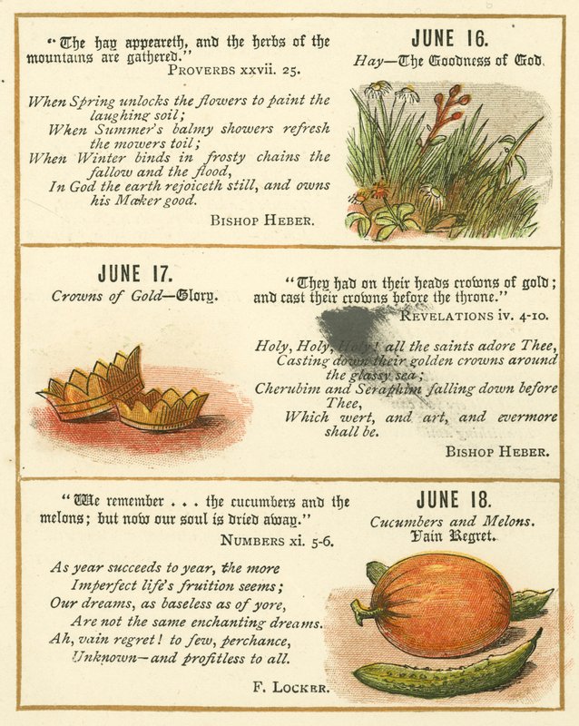 Página do Livro de Aniversário do Emblema da Bíblia (litografia a cores) de William Foster