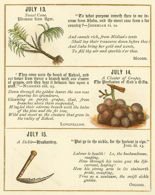 Página do Livro de Aniversário do Emblema da Bíblia (litografia a cores) de William Foster
