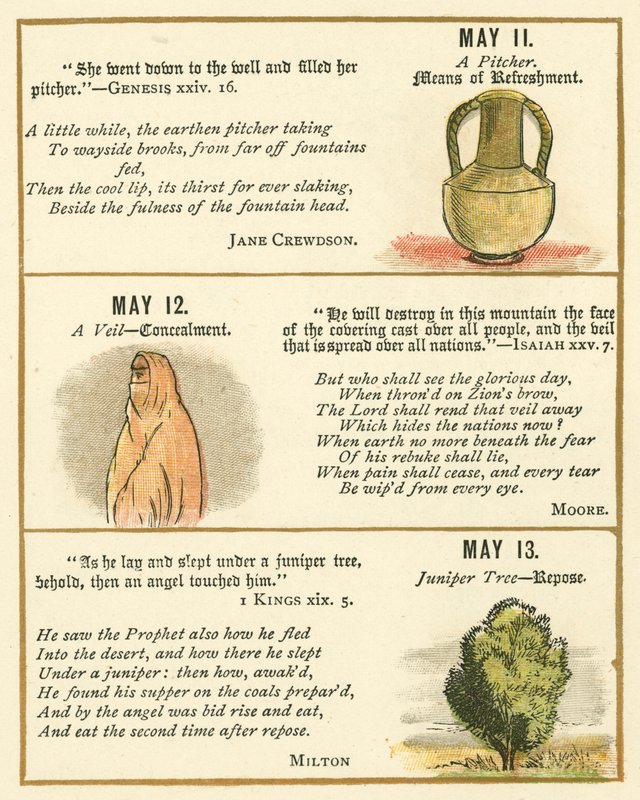 Página do Livro de Aniversário do Emblema da Bíblia (litografia a cores) de William Foster