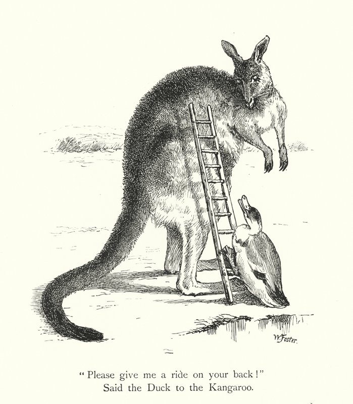 O Pato e o Canguru (gravura) de William Foster