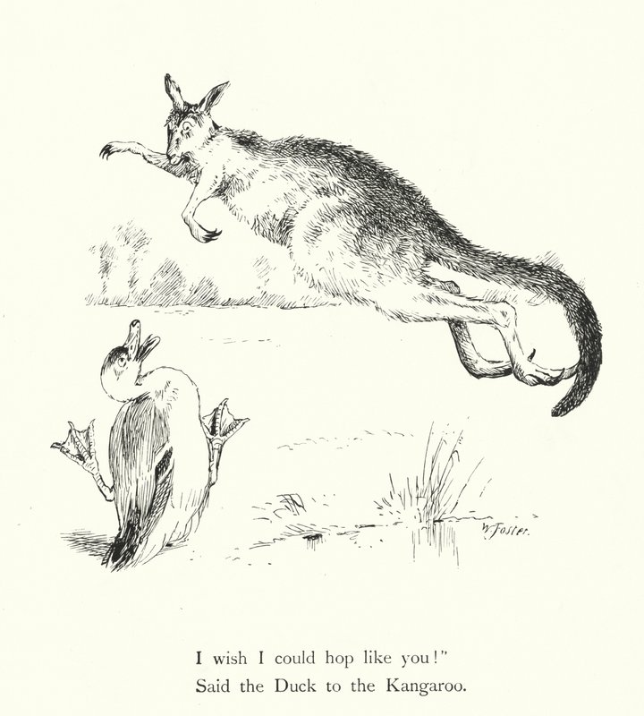 O Pato e o Canguru (gravura) de William Foster