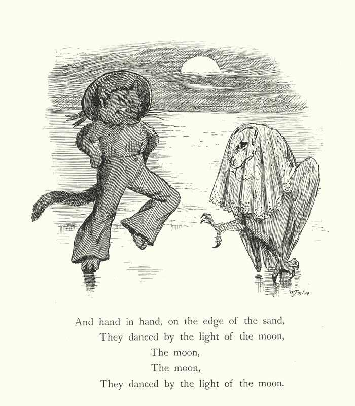 A Coruja e o Gato Maricas (gravura) de William Foster