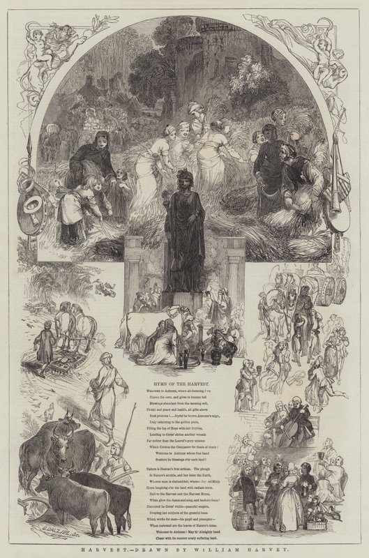 Colheita de William Harvey
