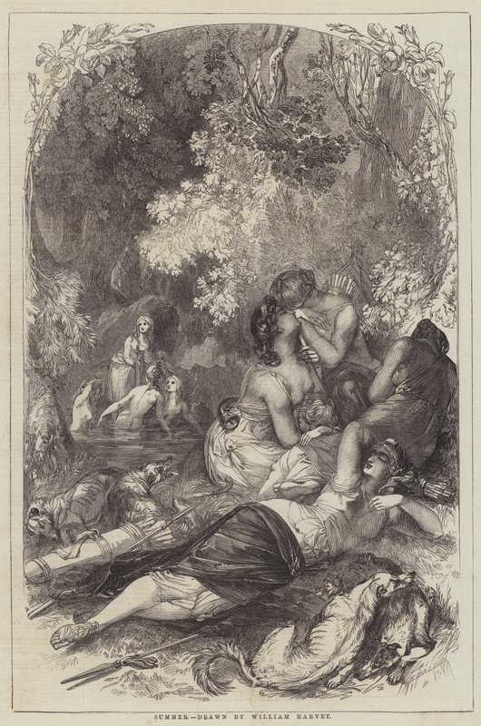 verão de William Harvey