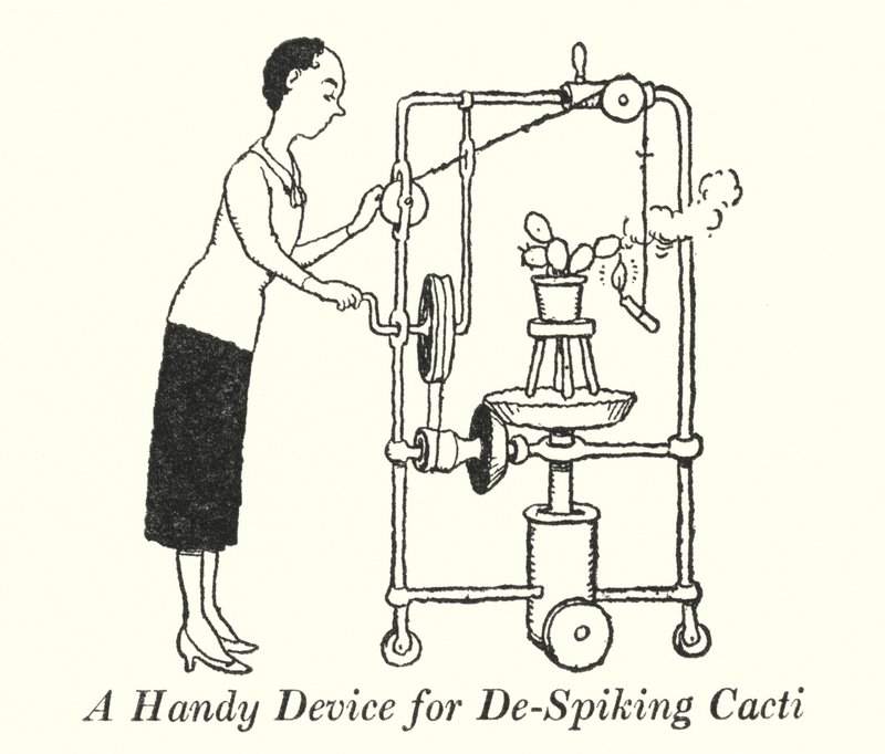 Um Dispositivo Prático para o Despiste de Cactos (litho) de William Heath Robinson