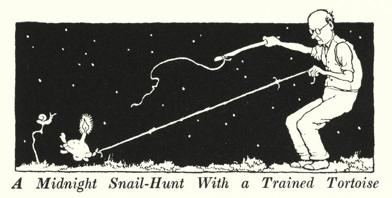 Uma Caça ao Caracol da Meia-Noite com uma Tartaruga Treinada (litho) de William Heath Robinson