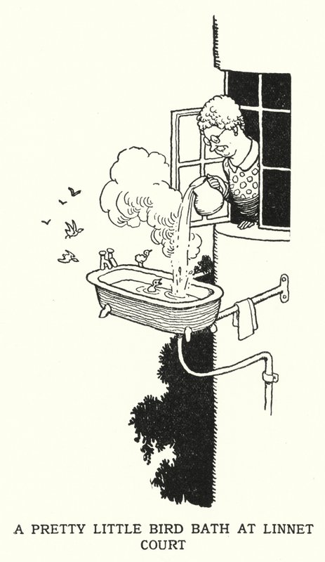 Um Banho de Pássaro Bonitinho na Linnet Court (litho) de William Heath Robinson