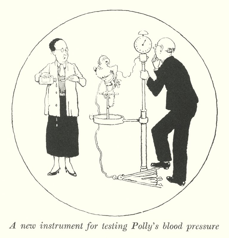 Um novo instrumento para testar a pressão arterial da Polly (litho) de William Heath Robinson