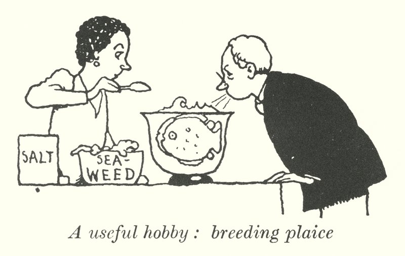 Um hobby útil, a criação de solha (litho) de William Heath Robinson