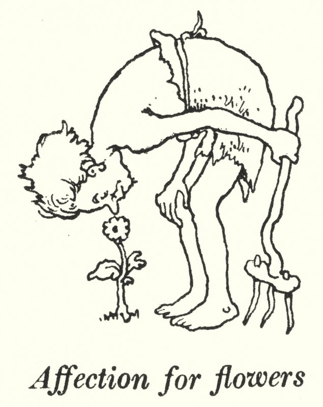 Afeição por flores (litho) de William Heath Robinson