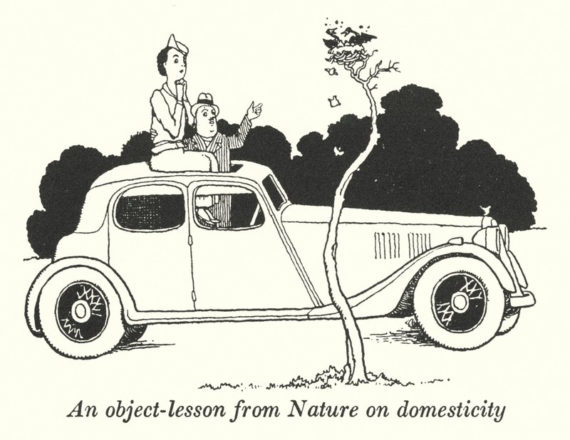 Uma lição de objetos da natureza sobre domesticidade (litho) de William Heath Robinson