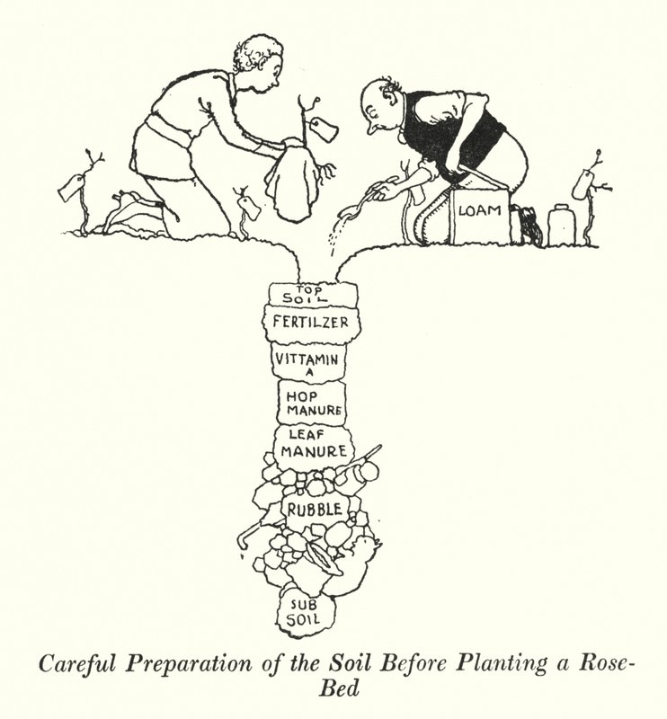 Preparação cuidadosa do solo antes de plantar um leito de rosas (litho) de William Heath Robinson