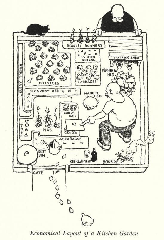 Arranjo Económico de um Jardim de Cozinha (litho) de William Heath Robinson