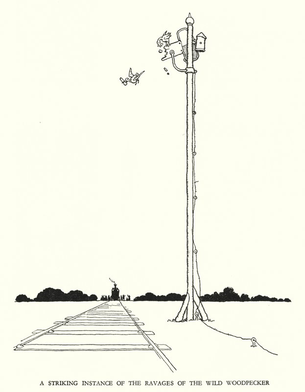 Ilustração para a Ribaldry Ferroviária de W Heath Robinson (litho) de William Heath Robinson