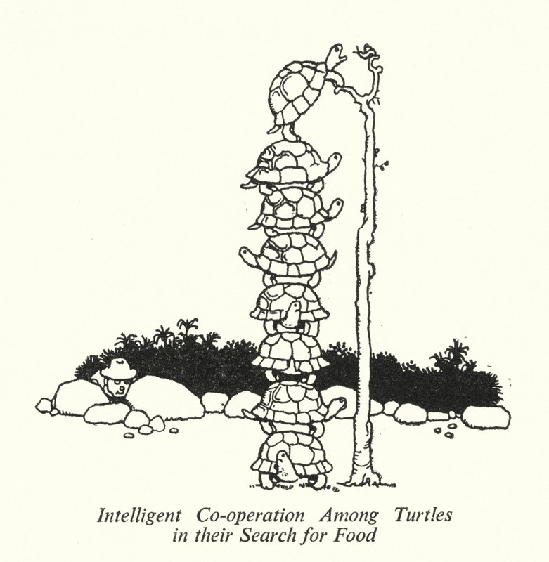 Cooperação inteligente entre tartarugas em sua busca por alimentos (litho) de William Heath Robinson