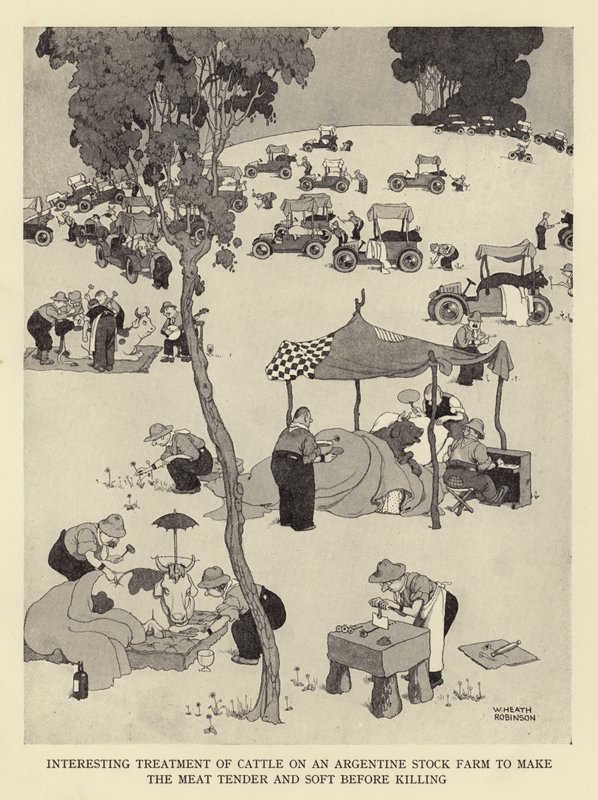 Tratamento interessante de gado em uma fazenda de gado argentino para tornar a carne tenra e macia antes de matar de William Heath Robinson