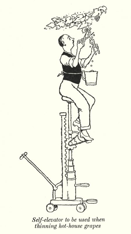 Auto-elevador para ser usado no desbaste de uvas quentes (litho) de William Heath Robinson