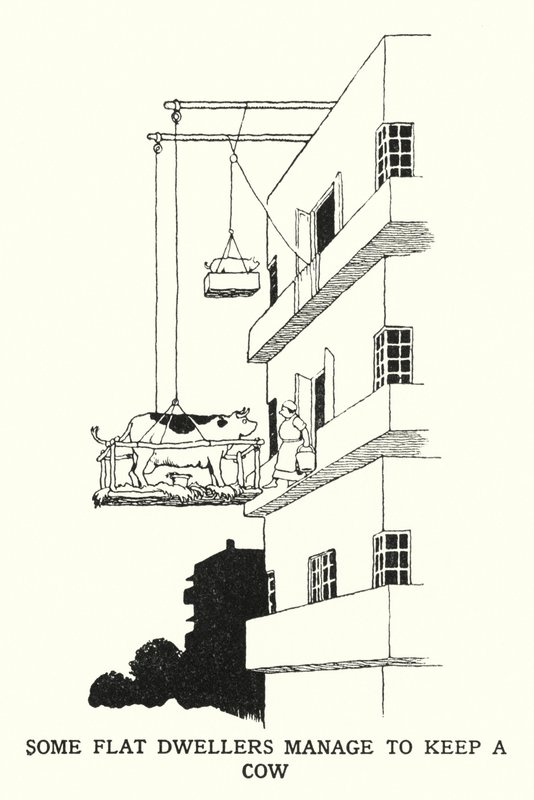 Alguns Moradores Planos Gerenciam para Manter uma Vaca (litho) de William Heath Robinson