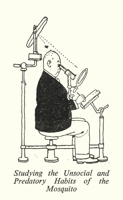 Estudo dos Hábitos Antissociais e Predatórios do Mosquito (litho) de William Heath Robinson