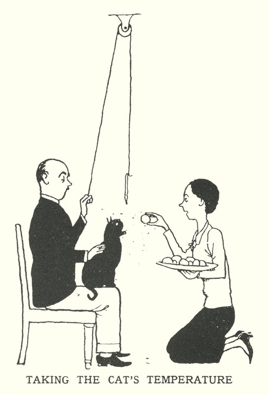 Tomando a Temperatura do Gato (litho) de William Heath Robinson