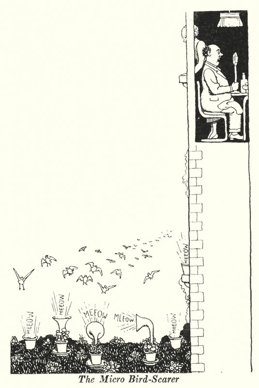 O Micro Bird-Scarer (litho) de William Heath Robinson