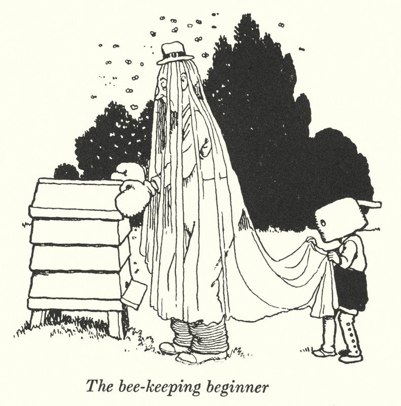 O principiante da apicultura (litho) de William Heath Robinson