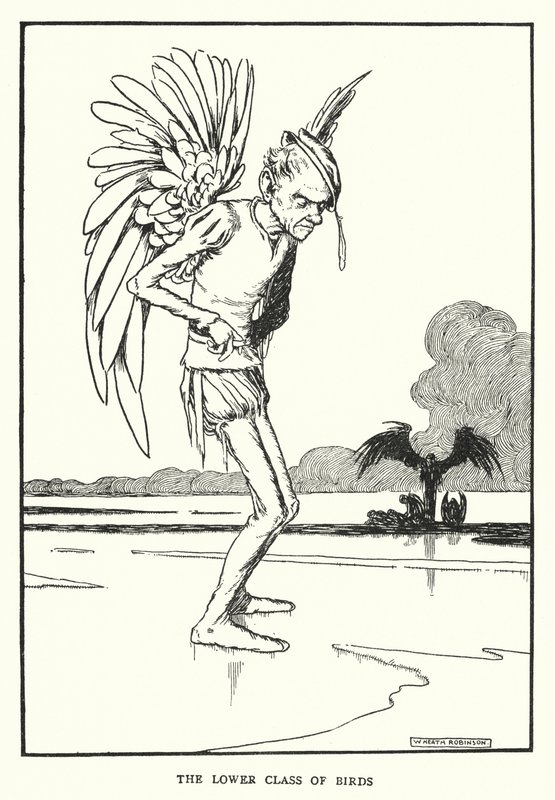 A classe inferior das aves (litho) de William Heath Robinson