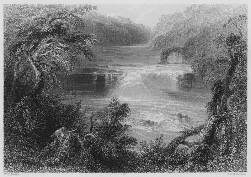 Salto de Salmão em Leixlip (gravura) de William Henry (after) Bartlett