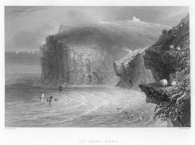 Cabeça de abelhas de William Henry Bartlett