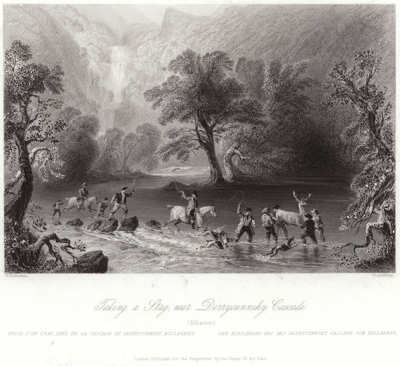Tomando um veado perto Derrycunnihy de William Henry Bartlett